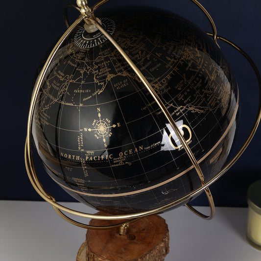 Aesthetic World Globe with Gold Ring and Natural Barktree Base